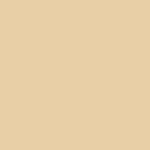 00 - Pale