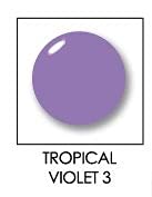 Tropical Violet #3