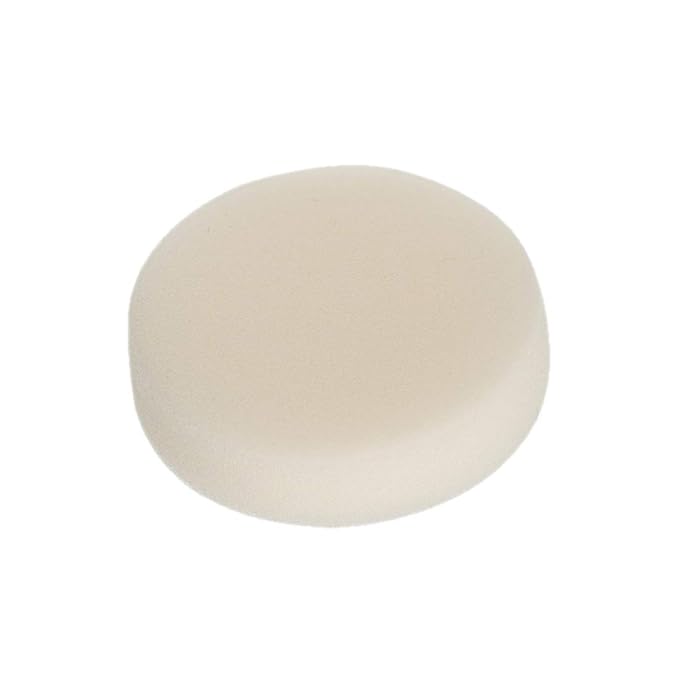 10 pcs Sponge