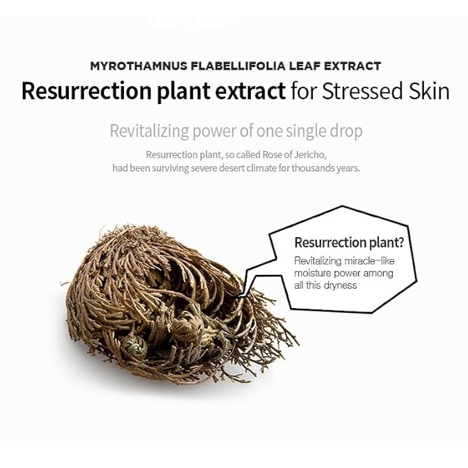 Cooling SOS Soothing Mask