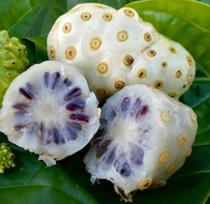 __DEFAULT__