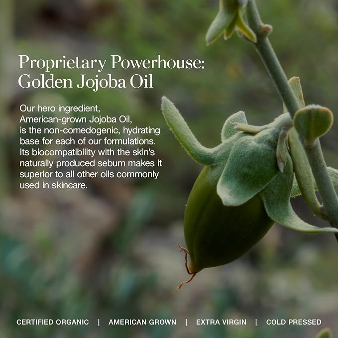 HOLLY 12.75W - Deep (Warm Undertones)