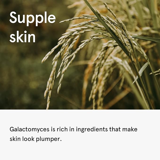 Galactomyces 5.07 Fl Oz