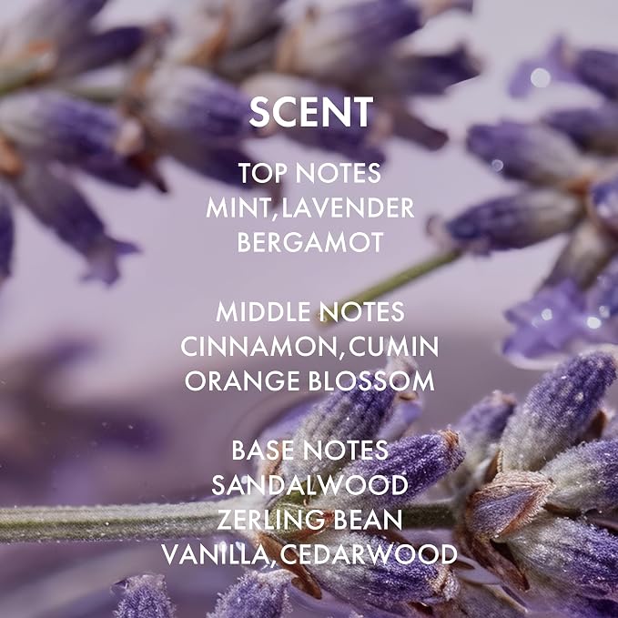 Lavender+ PURPLE