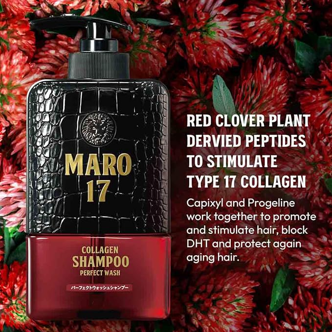Collagen Starter Set