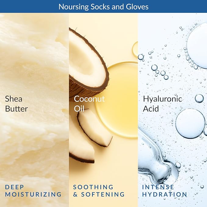 Gloves-6pk