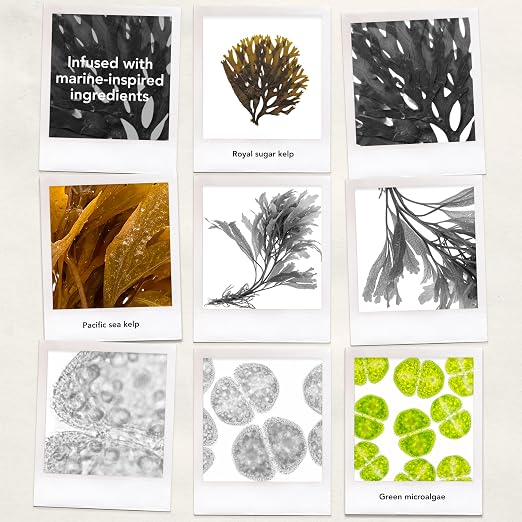 __DEFAULT__